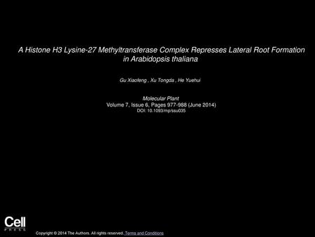 A Histone H3 Lysine-27 Methyltransferase Complex Represses Lateral Root Formation in Arabidopsis thaliana  Gu Xiaofeng , Xu Tongda , He Yuehui   Molecular.