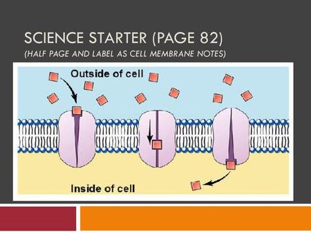 Science Starter (Page 82) (half page and LABEL AS Cell Membrane Notes)