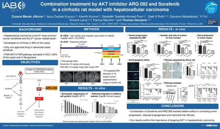 Combination treatment by AKT inhibitor ARQ 092 and Sorafenib