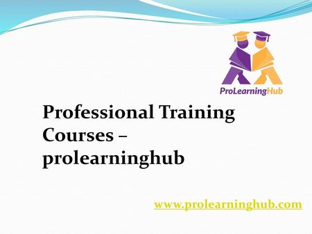 Professional Training Courses – prolearninghub