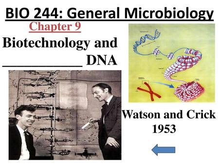 BIO 244: General Microbiology