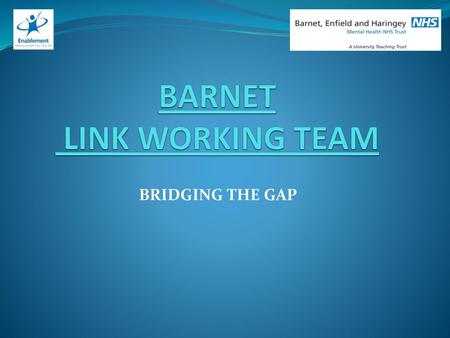 BARNET LINK WORKING TEAM