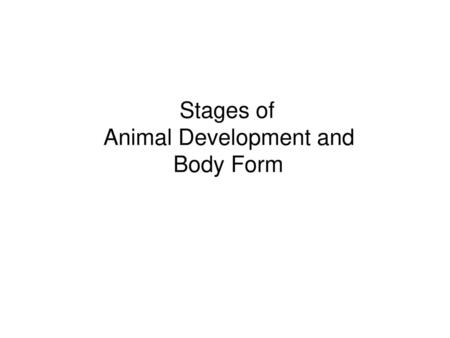 Stages of Animal Development and Body Form.