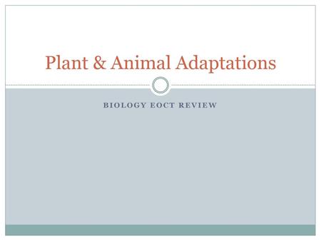 Plant & Animal Adaptations