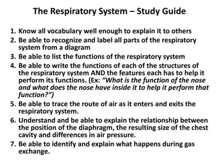 The Respiratory System – Study Guide