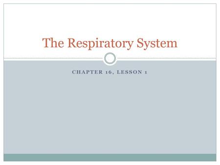 The Respiratory System