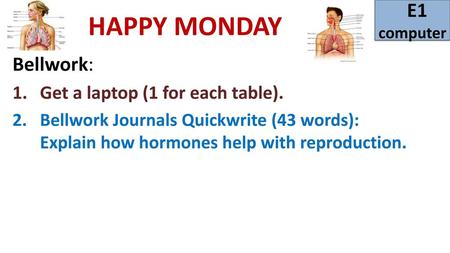 HAPPY MONDAY E1 Bellwork: Get a laptop (1 for each table).