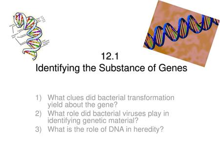 12.1 Identifying the Substance of Genes