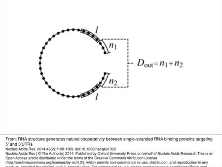 Figure 3. Definition of the outside distance, Dout, as the sum of the distances from each of the two protein binding sites to their corresponding.