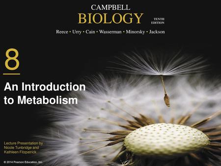 8 An Introduction to Metabolism