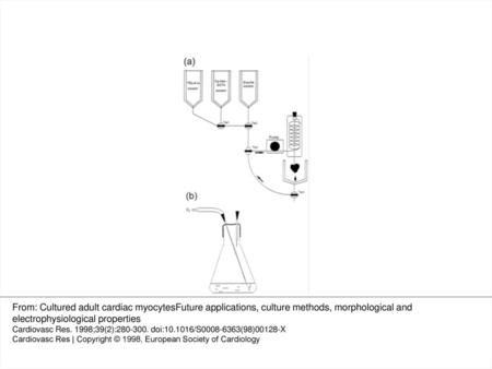 Fig. 1 (a) Apparatus used to isolate single cardiac myocytes at 37°C