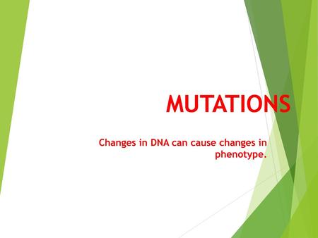 Changes in DNA can cause changes in phenotype.