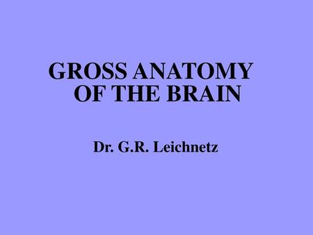 GROSS ANATOMY OF THE BRAIN