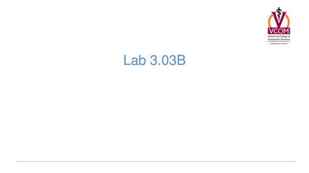 Lab 3.03B.