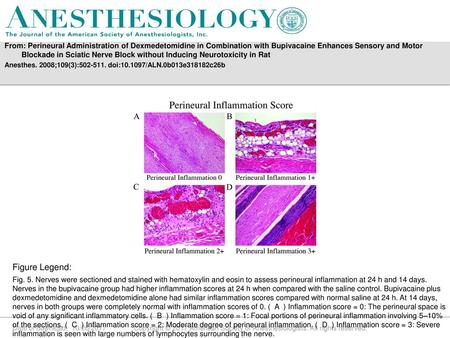 From: Perineural Administration of Dexmedetomidine in Combination with Bupivacaine Enhances Sensory and Motor Blockade in Sciatic Nerve Block without Inducing.