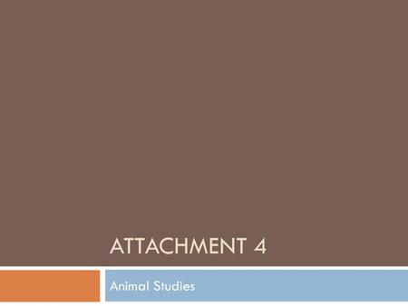 ATTACHMENT 4 Animal Studies.