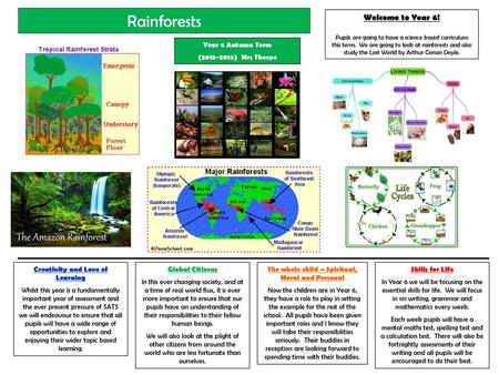 Rainforests Welcome to Year 6! Year 6 Autumn Term