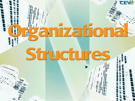 What is an Organization?