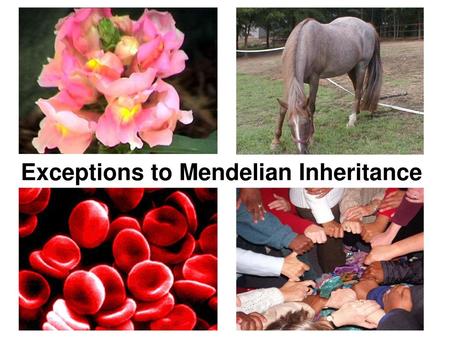 Exceptions to Mendelian Inheritance