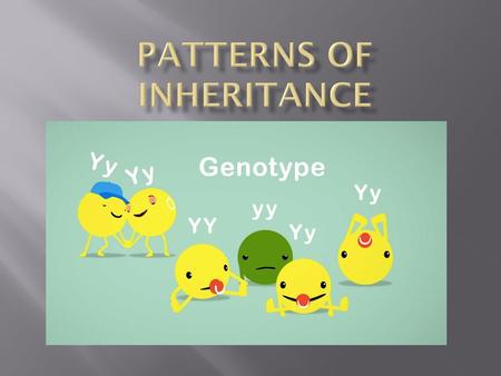 Patterns of Inheritance