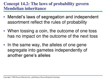 Concept 14.2: The laws of probability govern Mendelian inheritance