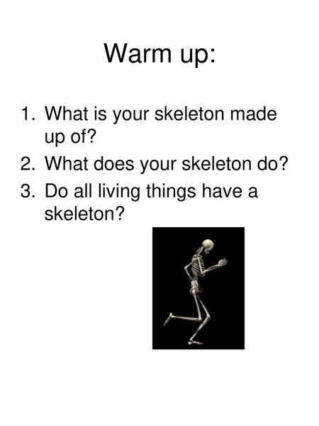 Warm up: What is your skeleton made up of? What does your skeleton do?