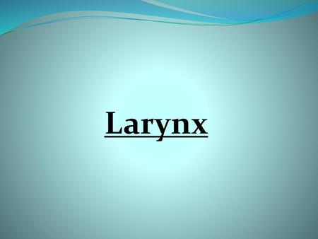 Larynx.