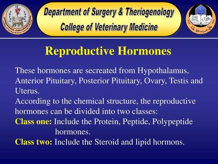 Reproductive Hormones