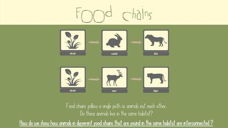 Food Chains Food Chains Review