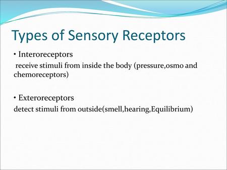 Types of Sensory Receptors