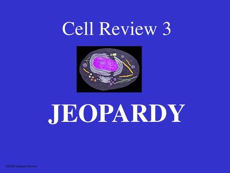 Cell Review 3 JEOPARDY S2C06 Jeopardy Review.