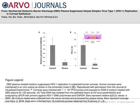 From: Nonthermal Dielectric Barrier Discharge (DBD) Plasma Suppresses Herpes Simplex Virus Type 1 (HSV-1) Replication in Corneal Epithelium Trans. Vis.