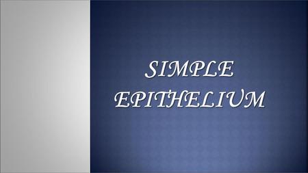 SIMPLE EPITHELIUM.