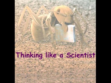 Thinking like a Scientist