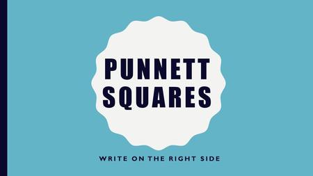 Punnett Squares Write on the right side.