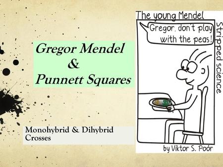 Gregor Mendel & Punnett Squares