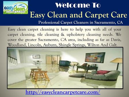 Easy Clean and Carpet Care