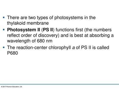 There are two types of photosystems in the thylakoid membrane