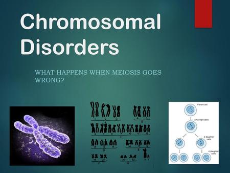 Chromosomal Disorders