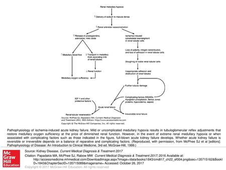 Pathophysiology of ischemia-induced acute kidney failure