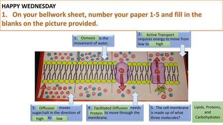 HAPPY WEDNESDAY 1. On your bellwork sheet, number your paper 1-5 and fill in the blanks on the picture provided. 2. _______ ________ requires energy.