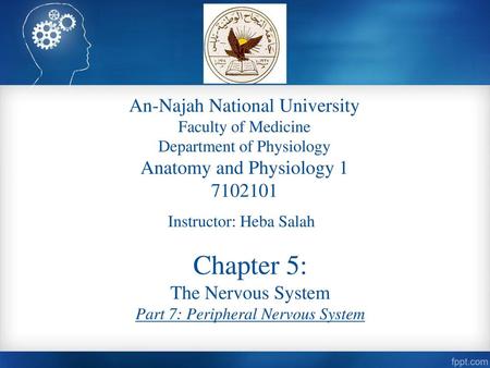 Chapter 5: An-Najah National University Anatomy and Physiology 1