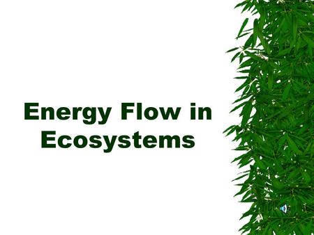 Energy Flow in Ecosystems