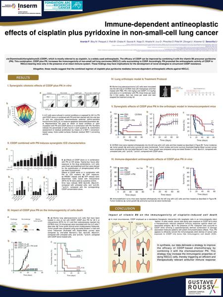 VI. Immune-dependent antineoplastic effects of CDDP plus PN in vivo