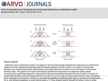 Journal of Vision. 2011;11(9):17. doi: / Figure Legend: