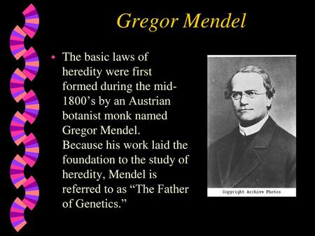 Gregor Mendel The basic laws of heredity were first formed during the mid-1800’s by an Austrian botanist monk named Gregor Mendel. Because his work laid.