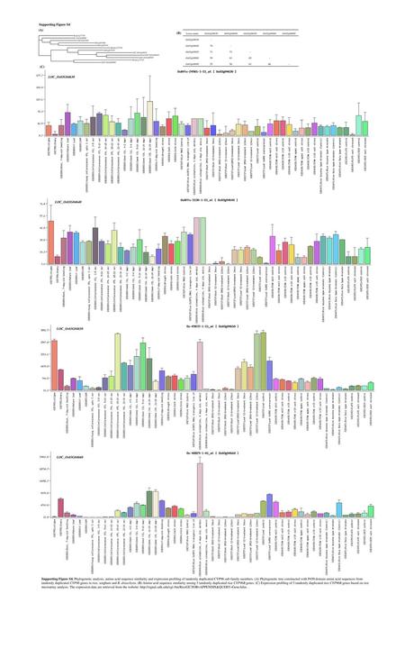 Supporting Figure S4 (A) (B) (C) LOC_Os03G04630 LOC_Os03G04640