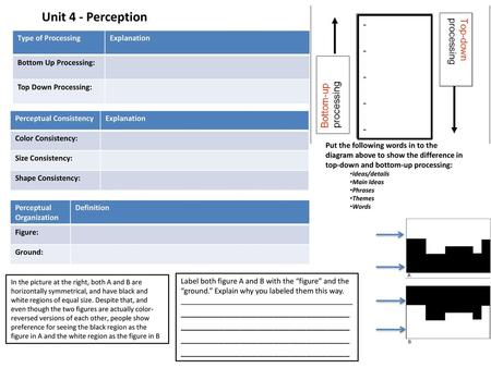 Unit 4 - Perception - Type of Processing Explanation