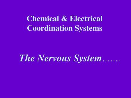 Chemical & Electrical Coordination Systems The Nervous System…….