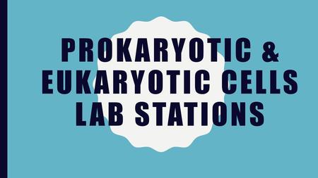 Prokaryotic & Eukaryotic Cells Lab Stations